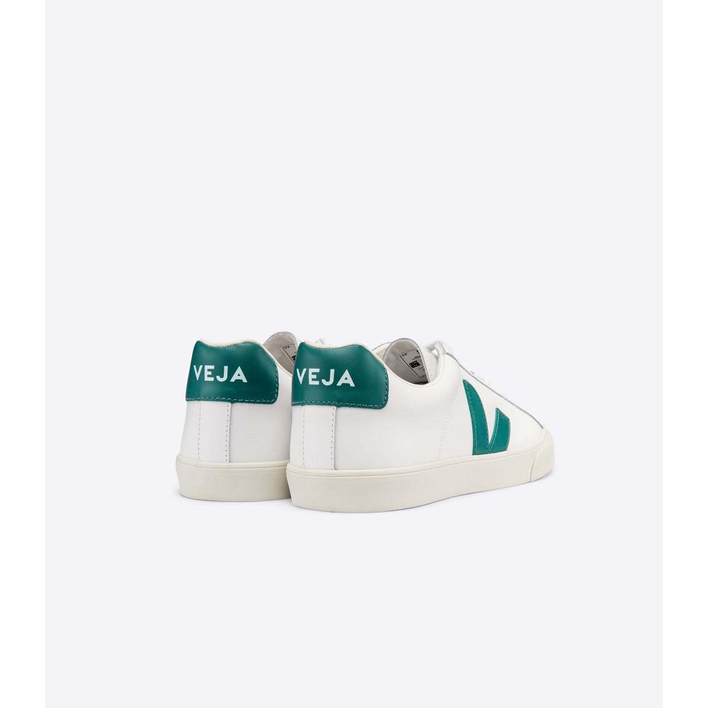 Veja ESPLAR LEATHER Tenisky Damske White/Green | SK 619KOR